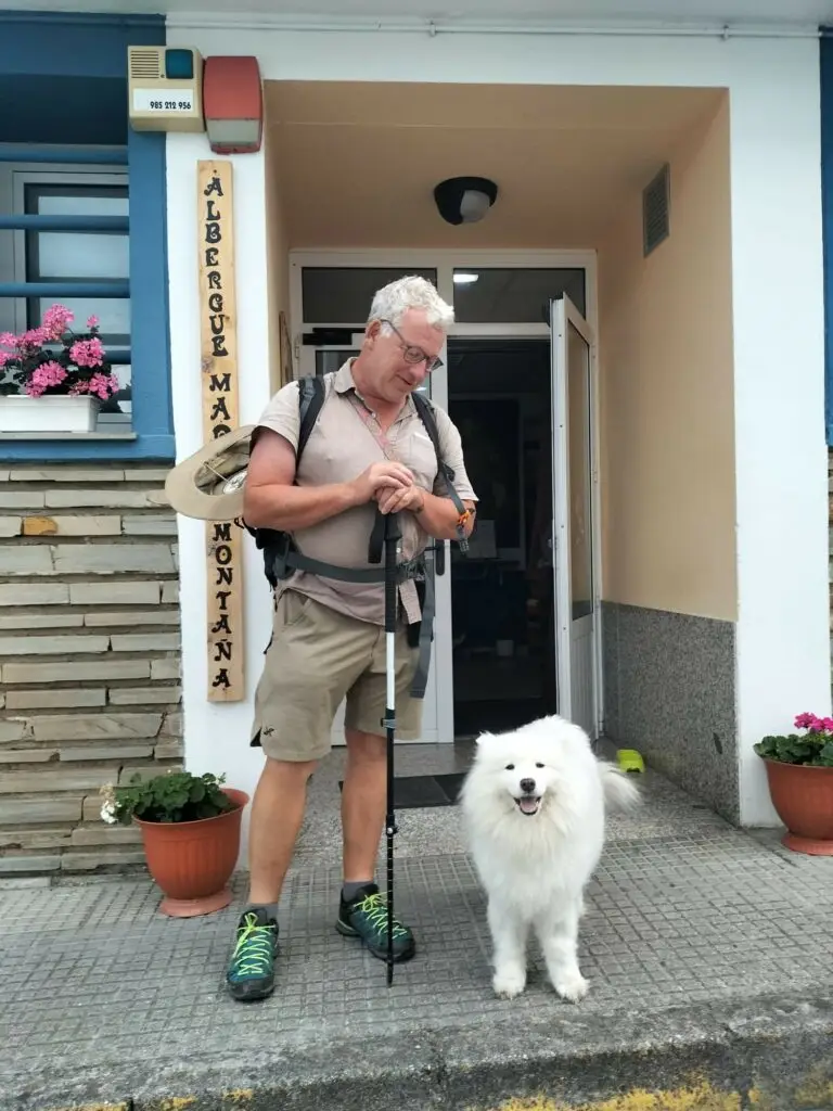 caminante con perro